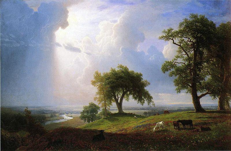 Albert Bierstadt California Spring Norge oil painting art